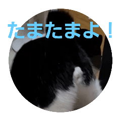 SAORI_20250925232048