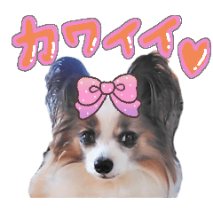 haruka_20250925234938