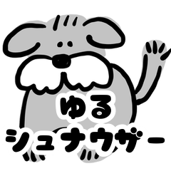 YU RU Miniature Schnauzer