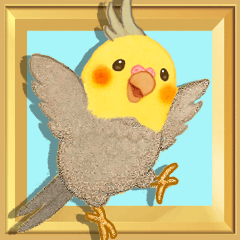 【オカメインコ】動く！お祝いセット
