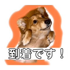 god.stamp