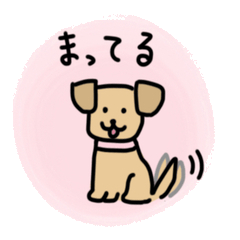 The cute dog Nico