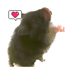 sibeko_20250926004641