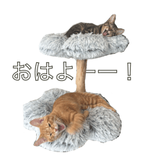 MABOTOFU LINE stickers