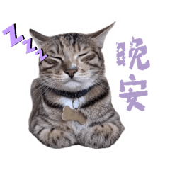 曉馨星-日常篇01