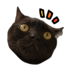 rinko_20250925194315