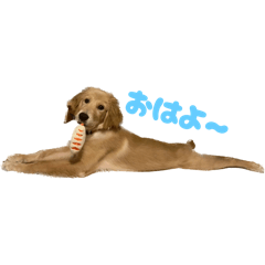 Hikari_20250925195356