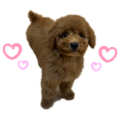 Karin_20250926102808