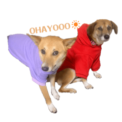 MIZUKI_20250926024010