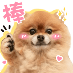 肉鬆&寶弟小狗勾們浮誇對話