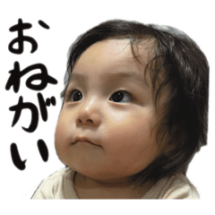 kimi_20250925232939