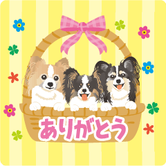 動く♪マリン♡シエル♡ルナ2