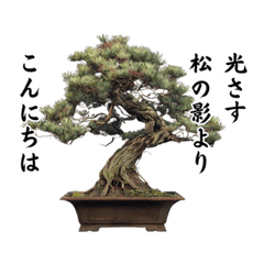 Bonsai Stickers 2 Haiku Edition 87