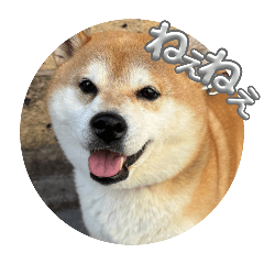 HIMAWARI_20250924201738