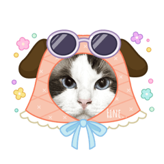 Freddie_20250925233500