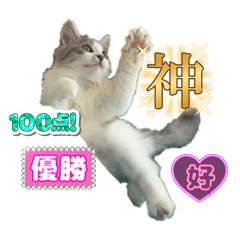 tomomi_20250926024327