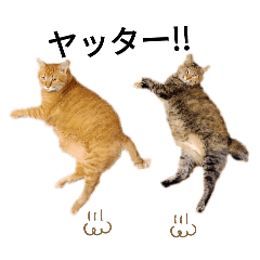 hyakume_20250926082458