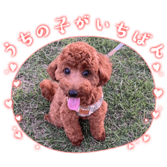 kurumi_20250926134302