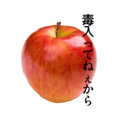 Lingo_20250926144919