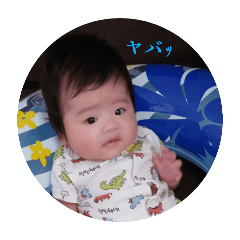 hikari_20250926151911