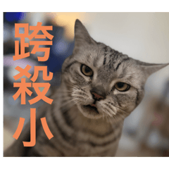 小咪-KuRo-踏踏