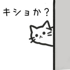 なんだかキショい猫
