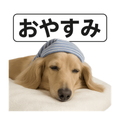 hayato_20250926165224