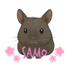 samo_ayu