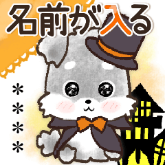 【犬の日】愛犬♡シュナウザー★ご挨拶