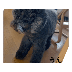 reiya_20250926170609