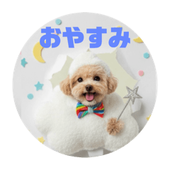 Bitna_20250926171539