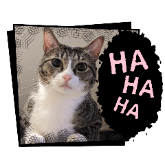 Cat house's stamp Ver.1