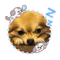 mumu_20250926205235