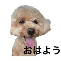 mario_20250926233929