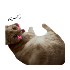 CHIHIRO_20250926235301