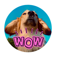 taron_20250926175344