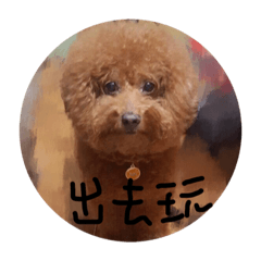 I am money dog