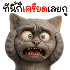 มิ้วเทาเทา