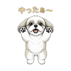 KARIN_20250926203050