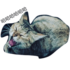 love Meme
