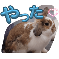 omochi_20250927092322