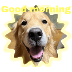 Tommy_20250926151257