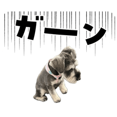 natsu.723 – LINE stickers | LINE STORE