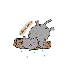 Miaow_20250926190257