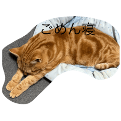 Haruka_20250927002933