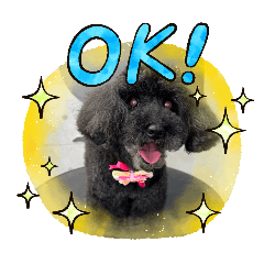 Happy_20250926212225