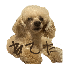 PARM_1