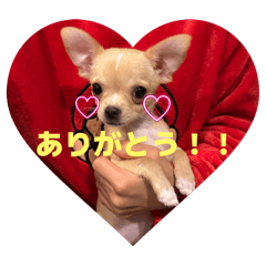 Namipo_20250927044442