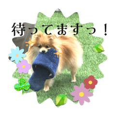 karin_20250927113607