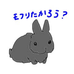 Netherland Dwarf Rabbit's Stamp